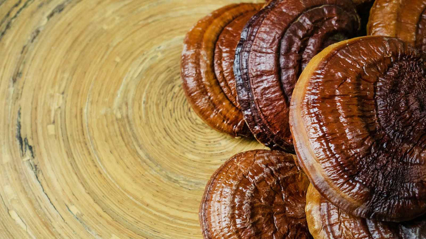 6 Reishi Mushroom Benefits Everyone Should Know