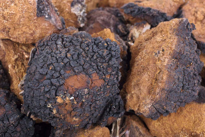 Chaga Products