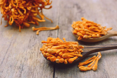 Cordyceps Products